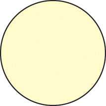 Photoluminescent anti-slip circles 75mm dia pack of 20