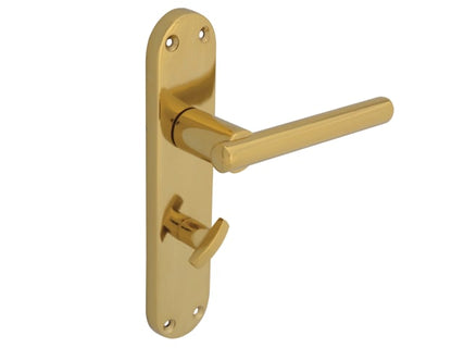 Backplate Handle Bathroom - Modular Brass Finish