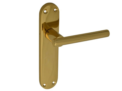 Backplate Handle Latch - Modular Brass Finish