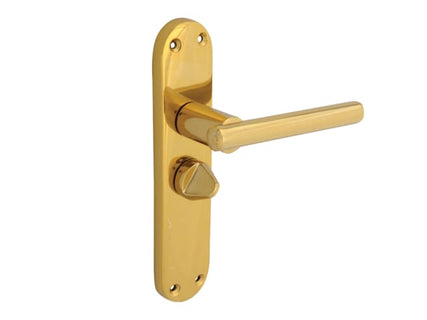 Backplate Handle Privacy - Modular Brass Finish