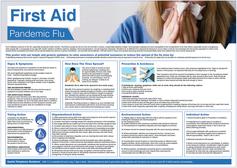 Pandemic Flu Poster 594x420mm